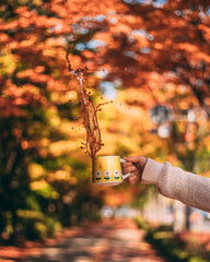 To 5 teas to drink in the fall season