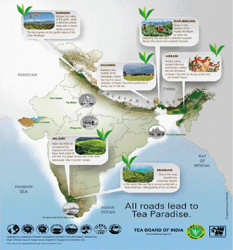 Xnporncom - The Indian Tea Industry - Revenue, Market share, Highest producing sta -  Page 17 | Freshcarton