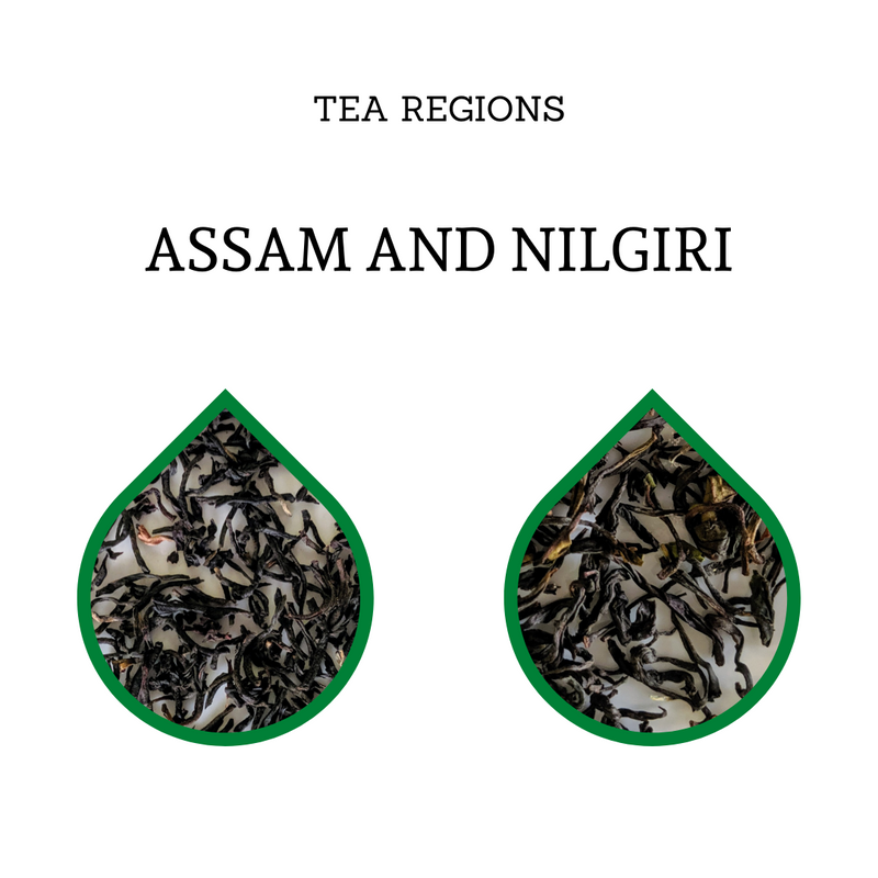 Assam & Nilgiri