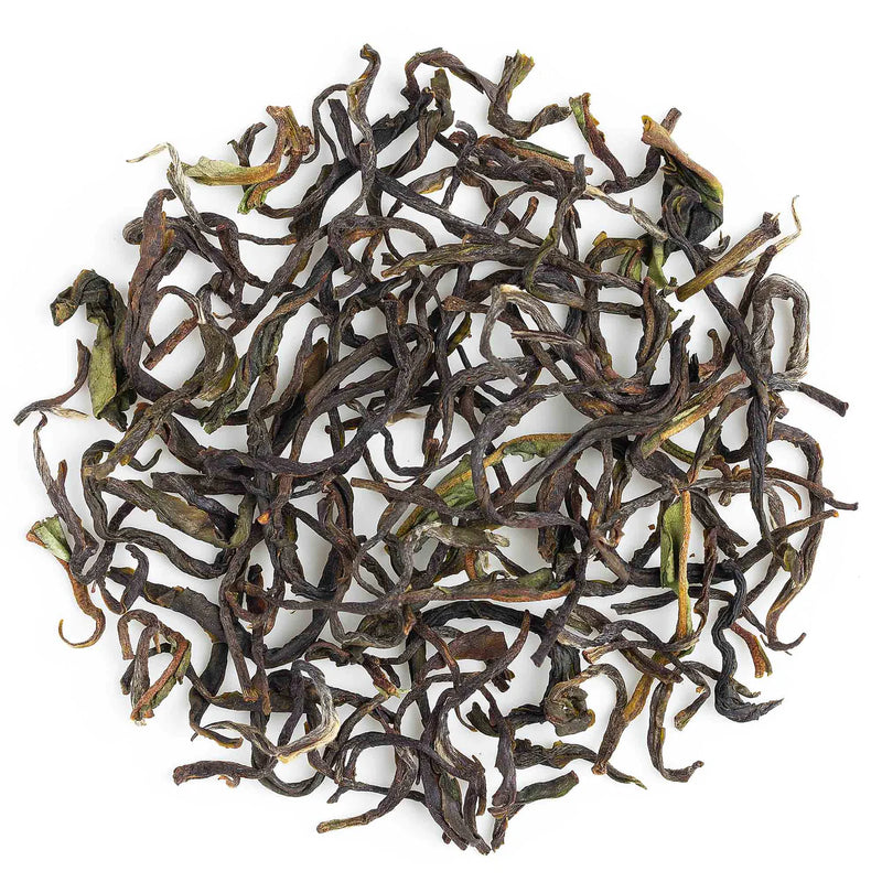 Specialty Nilgiri Twirl Black Tea - 100gm | 3.53oz