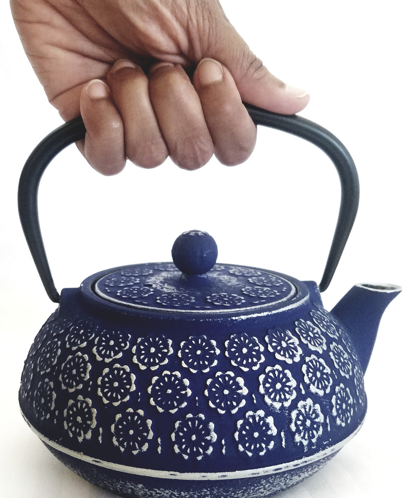 Cast Iron Teapot With Stainless Steel Infuser | 0.8 L / 27 oz | Non Toxic Vintage Blue Teapot - Freshcarton