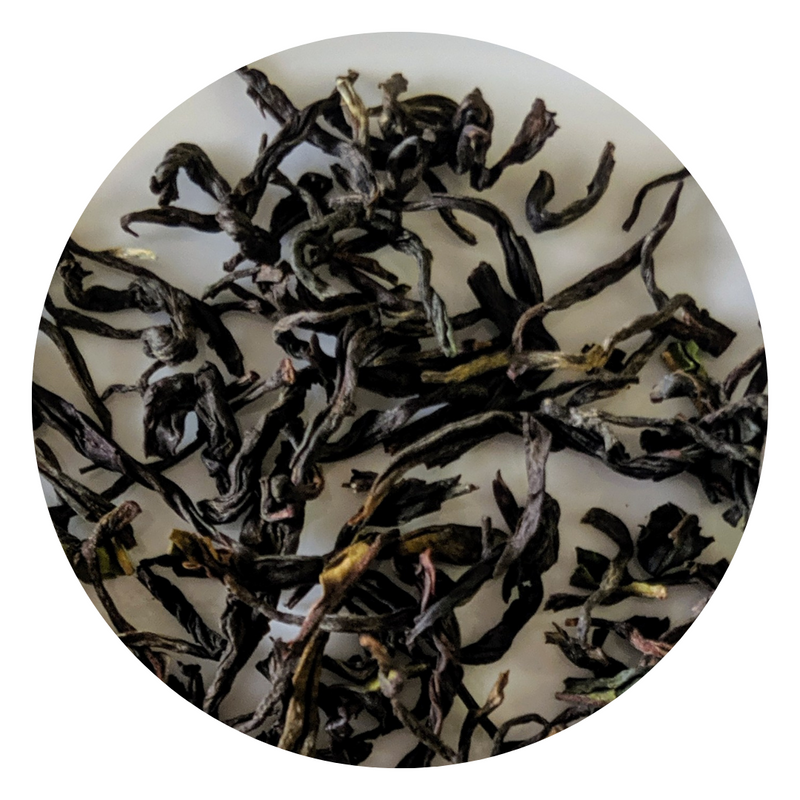 Nilgiri Winter Frost Black Tea - SFTGFOP