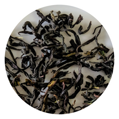 Nilgiri Winter Frost Black Tea - SFTGFOP
